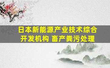 日本新能源产业技术综合开发机构 畜产粪污处理